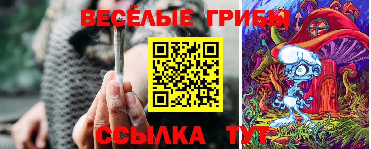 Усть-Джегута  Галлюциногенные грибы мухоморы  Вход с VPN 